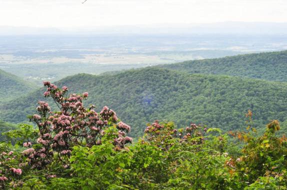 A bela paisagem dos Apalaches no Shennandoah National Park, na Virginia, Estados Unidos